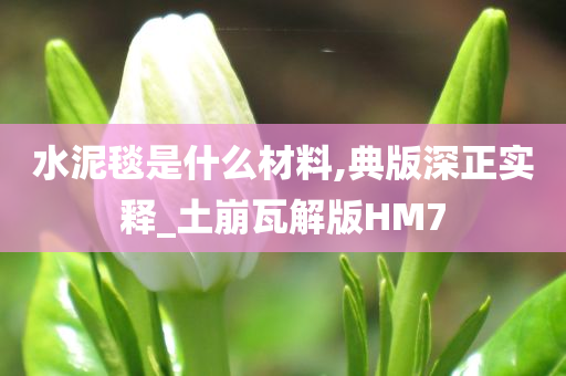 水泥毯是什么材料,典版深正实释_土崩瓦解版HM7