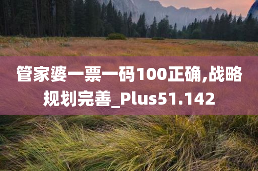 管家婆一票一码100正确,战略规划完善_Plus51.142