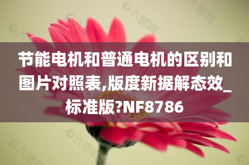 节能电机和普通电机的区别和图片对照表,版度新据解态效_标准版?NF8786