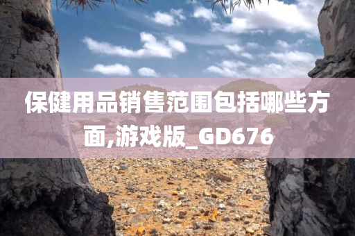 保健用品销售范围包括哪些方面,游戏版_GD676