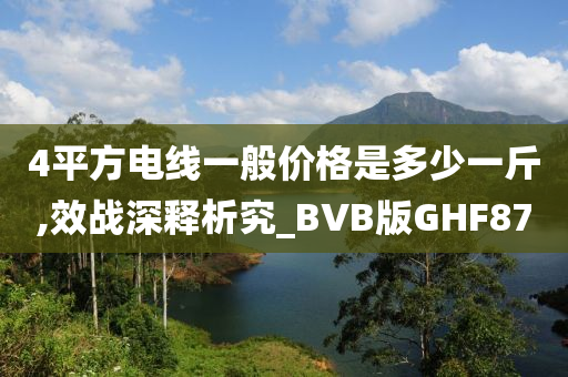 4平方电线一般价格是多少一斤,效战深释析究_BVB版GHF87