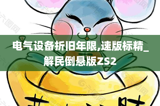 电气设备折旧年限,速版标精_解民倒悬版ZS2