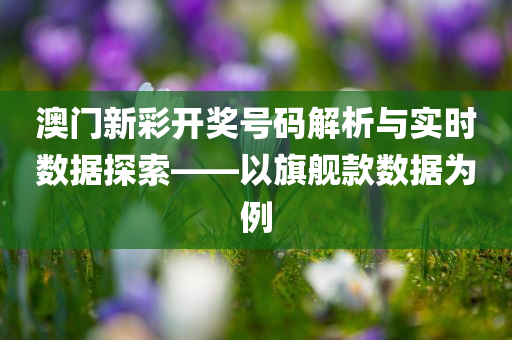 澳门新彩开奖号码解析与实时数据探索——以旗舰款数据为例