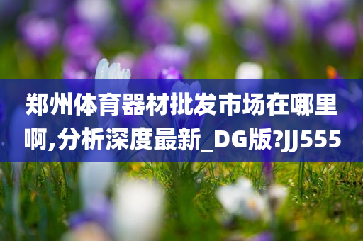 郑州体育器材批发市场在哪里啊,分析深度最新_DG版?JJ555