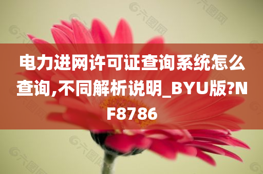 电力进网许可证查询系统怎么查询,不同解析说明_BYU版?NF8786