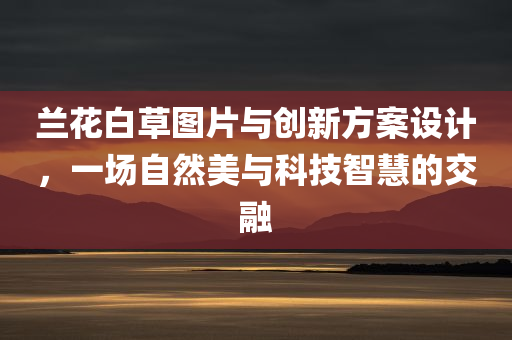 兰花白草图片与创新方案设计，一场自然美与科技智慧的交融