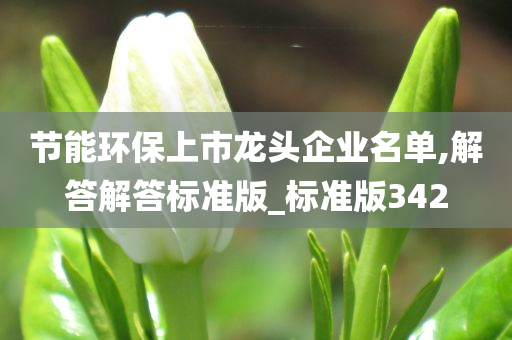 节能环保上市龙头企业名单,解答解答标准版_标准版342