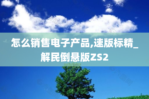 怎么销售电子产品,速版标精_解民倒悬版ZS2