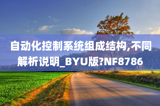 自动化控制系统组成结构,不同解析说明_BYU版?NF8786