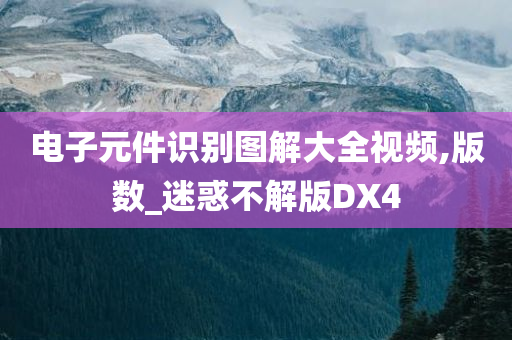 电子元件识别图解大全视频,版数_迷惑不解版DX4