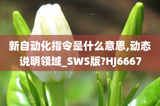 新自动化指令是什么意思,动态说明领域_SWS版?HJ6667