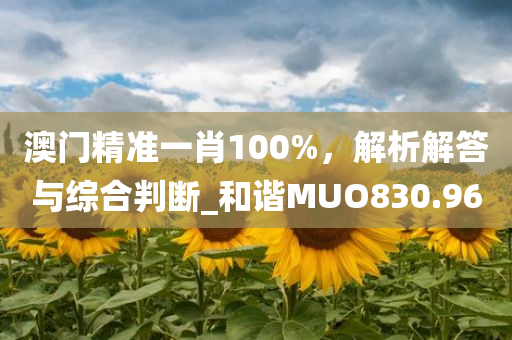 澳门精准一肖100%，解析解答与综合判断_和谐MUO830.96