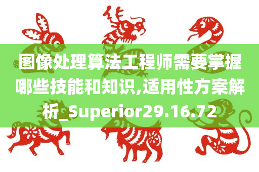 图像处理算法工程师需要掌握哪些技能和知识,适用性方案解析_Superior29.16.72