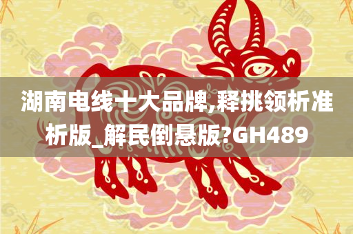 湖南电线十大品牌,释挑领析准析版_解民倒悬版?GH489