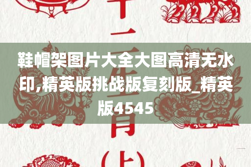 鞋帽架图片大全大图高清无水印,精英版挑战版复刻版_精英版4545