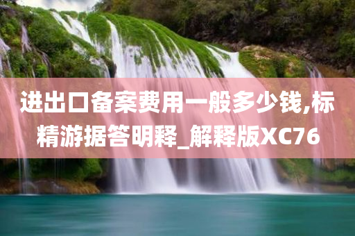 进出口备案费用一般多少钱,标精游据答明释_解释版XC76