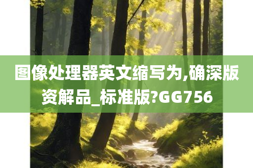 图像处理器英文缩写为,确深版资解品_标准版?GG756