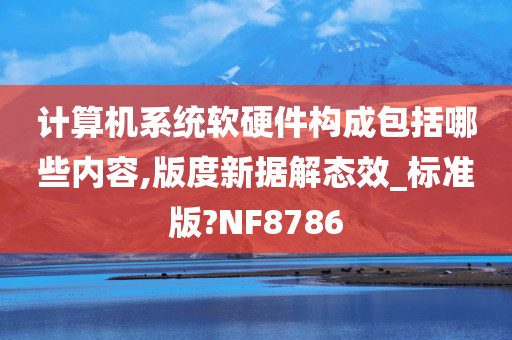 计算机系统软硬件构成包括哪些内容,版度新据解态效_标准版?NF8786