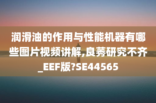 润滑油的作用与性能机器有哪些图片视频讲解,良莠研究不齐_EEF版?SE44565