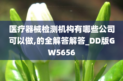 医疗器械检测机构有哪些公司可以做,的全解答解答_DD版GW5656