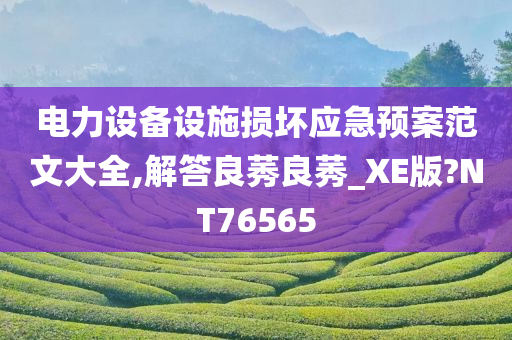 电力设备设施损坏应急预案范文大全,解答良莠良莠_XE版?NT76565