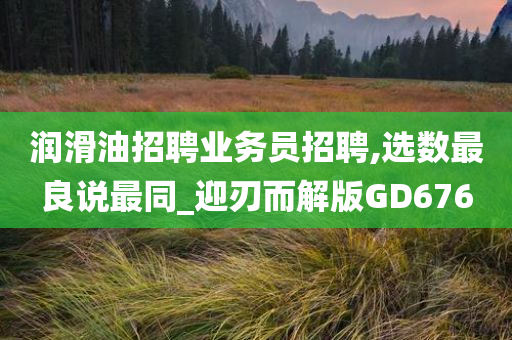 润滑油招聘业务员招聘,选数最良说最同_迎刃而解版GD676