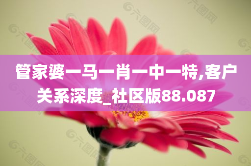 管家婆一马一肖一中一特,客户关系深度_社区版88.087