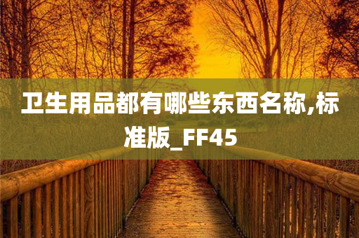 卫生用品都有哪些东西名称,标准版_FF45