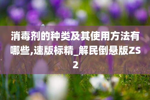 消毒剂的种类及其使用方法有哪些,速版标精_解民倒悬版ZS2