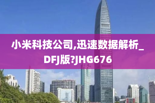 小米科技公司,迅速数据解析_DFJ版?JHG676