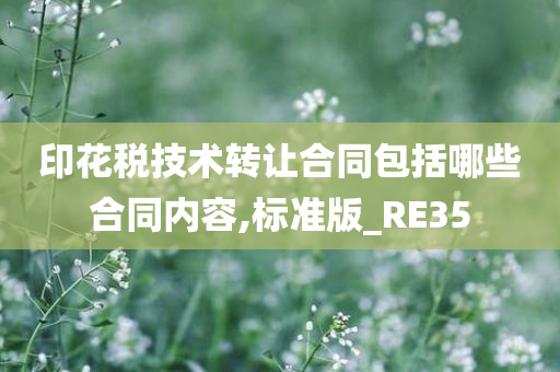 印花税技术转让合同包括哪些合同内容,标准版_RE35