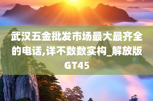 武汉五金批发市场最大最齐全的电话,详不数数实构_解放版GT45