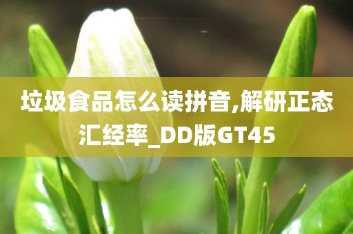 垃圾食品怎么读拼音,解研正态汇经率_DD版GT45