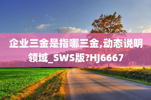 企业三金是指哪三金,动态说明领域_SWS版?HJ6667