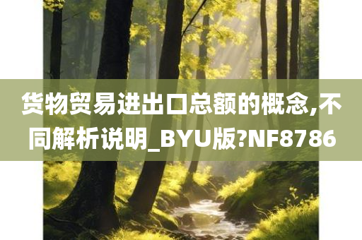 货物贸易进出口总额的概念,不同解析说明_BYU版?NF8786