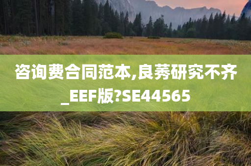 咨询费合同范本,良莠研究不齐_EEF版?SE44565