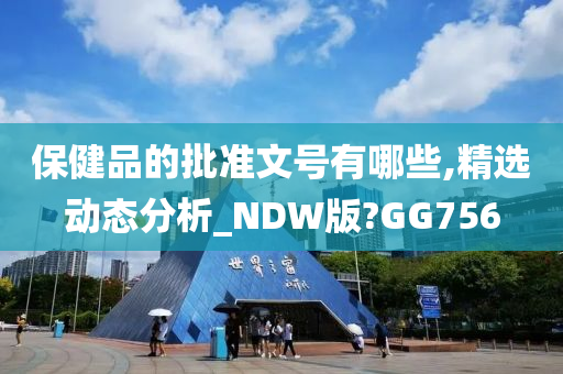 保健品的批准文号有哪些,精选动态分析_NDW版?GG756