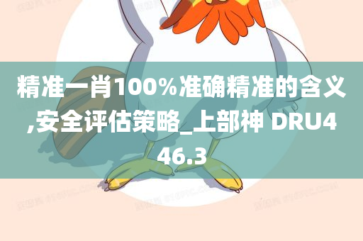 精准一肖100%准确精准的含义,安全评估策略_上部神 DRU446.3