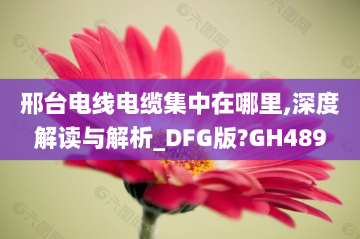 邢台电线电缆集中在哪里,深度解读与解析_DFG版?GH489