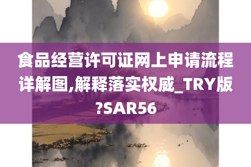 食品经营许可证网上申请流程详解图,解释落实权威_TRY版?SAR56