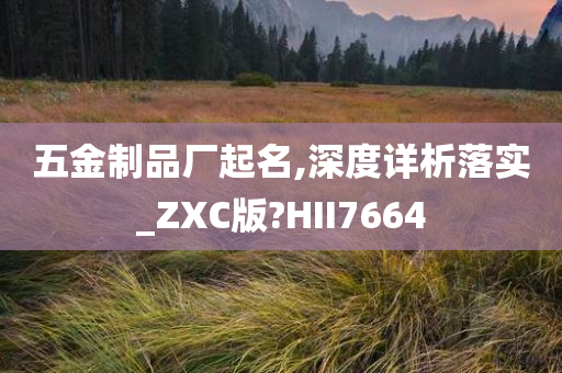 五金制品厂起名,深度详析落实_ZXC版?HII7664