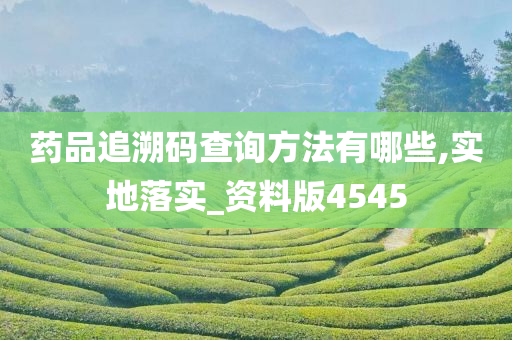 药品追溯码查询方法有哪些,实地落实_资料版4545