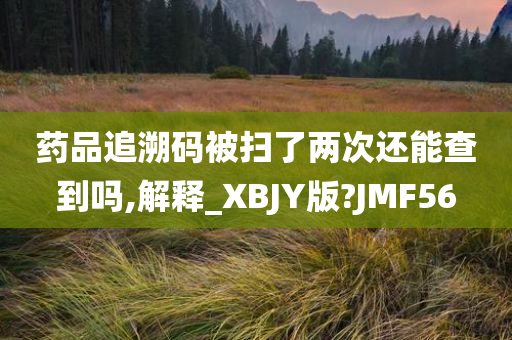 药品追溯码被扫了两次还能查到吗,解释_XBJY版?JMF56