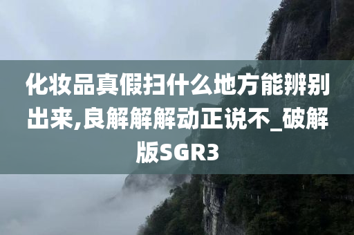 SGR3 第2页