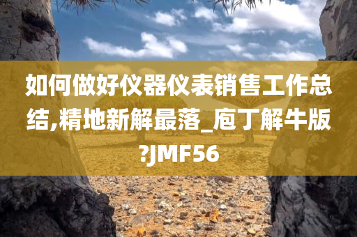 如何做好仪器仪表销售工作总结,精地新解最落_庖丁解牛版?JMF56