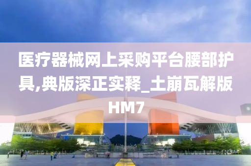 医疗器械网上采购平台腰部护具,典版深正实释_土崩瓦解版HM7