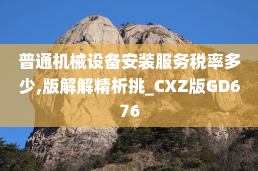 普通机械设备安装服务税率多少,版解解精析挑_CXZ版GD676