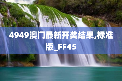 4949澳门最新开奖结果,标准版_FF45