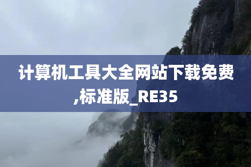 计算机工具大全网站下载免费,标准版_RE35