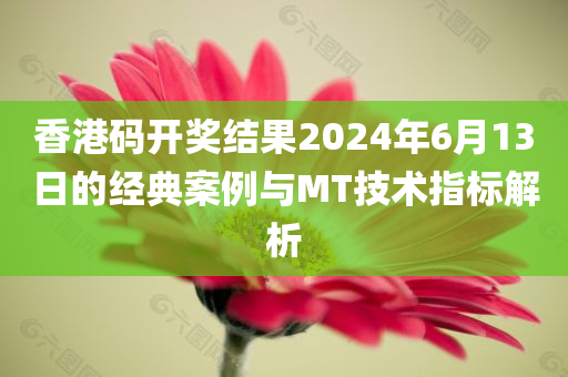 香港码开奖结果2024年6月13日的经典案例与MT技术指标解析